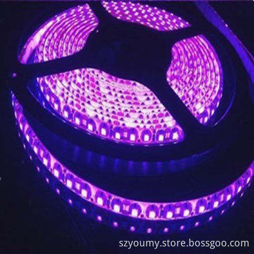 DC 24V Single Color Purple SMD 3528 300 LED Strip, IP65, Mixed and OEM Orders are Welcome